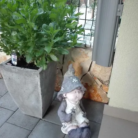 - Ivo * Čižići