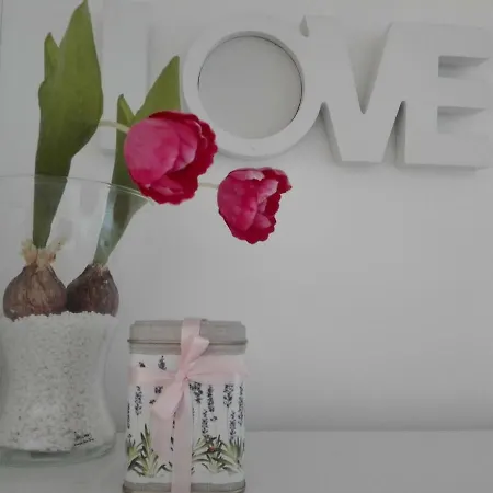 - Ivo Apartman